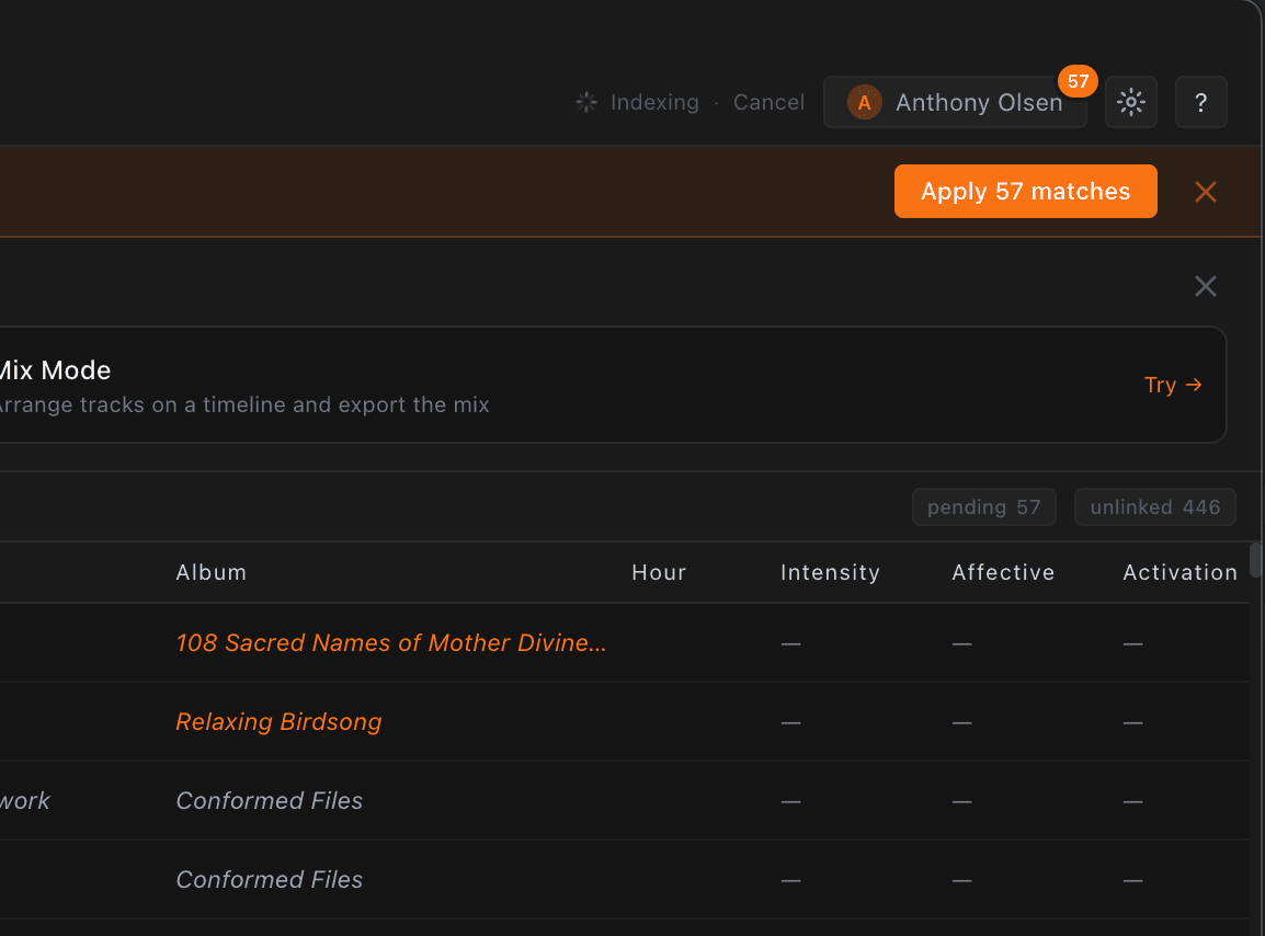 The Apply matches banner, ready to enrich pending tracks