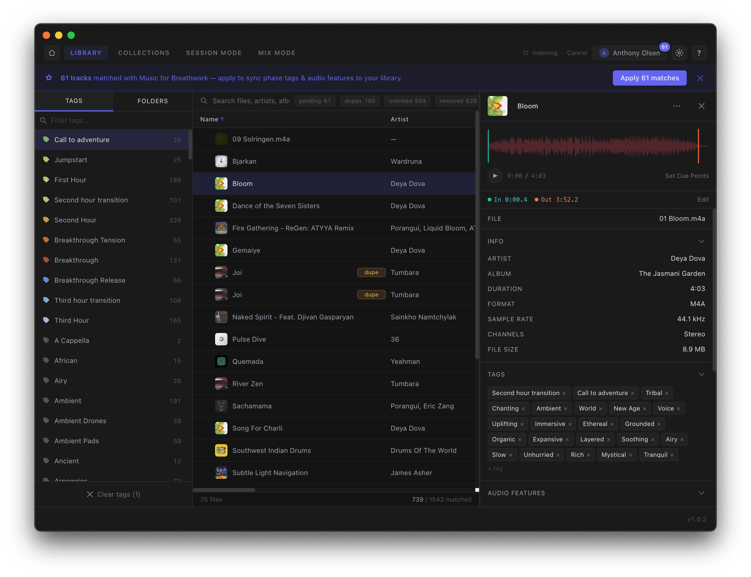 Library track properties panel showing tags and audio features